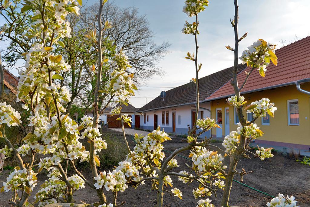 Rigofuetty Vendeghaz Hotel Tiszaalpar Exterior foto