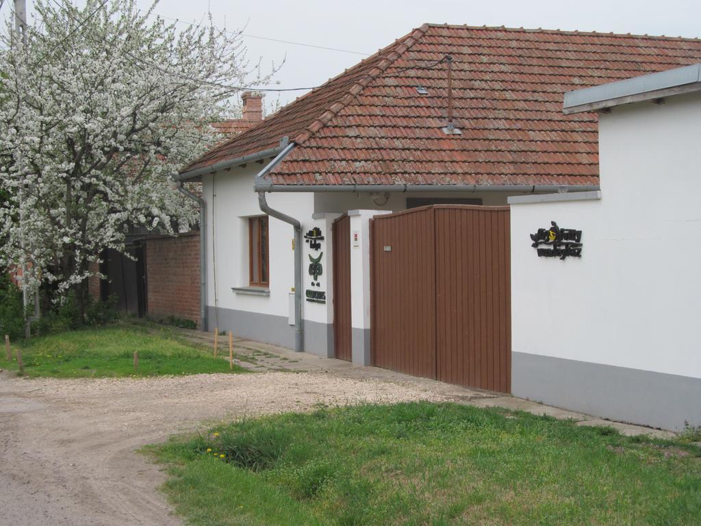 Rigofuetty Vendeghaz Hotel Tiszaalpar Exterior foto