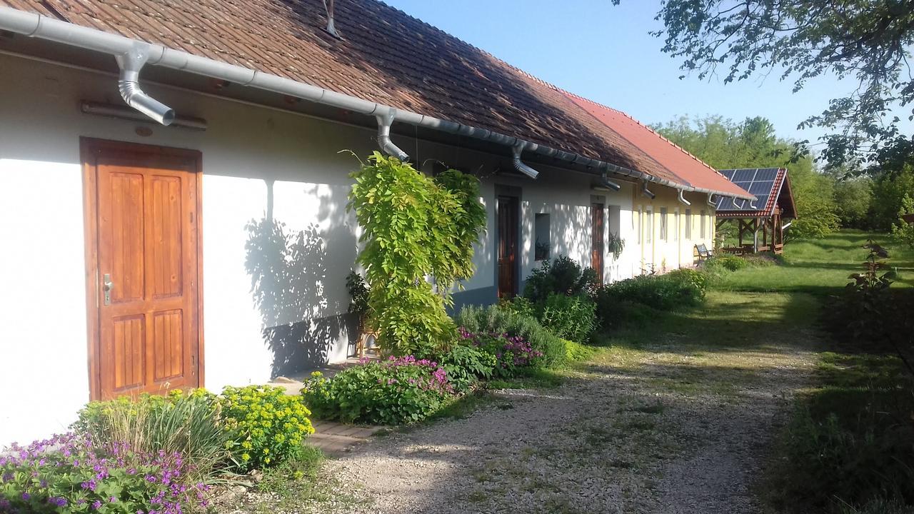 Rigofuetty Vendeghaz Hotel Tiszaalpar Exterior foto